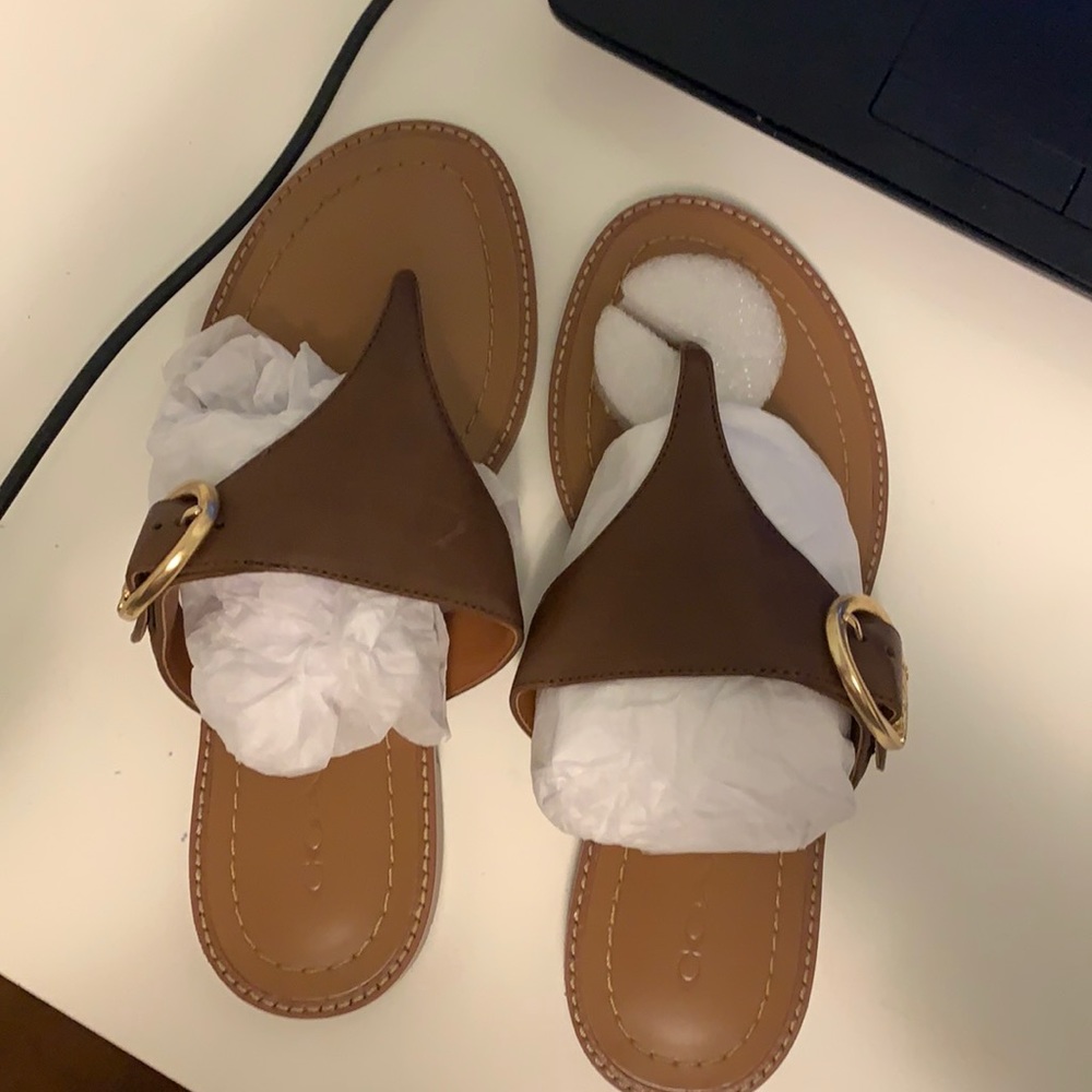 Coach shoes